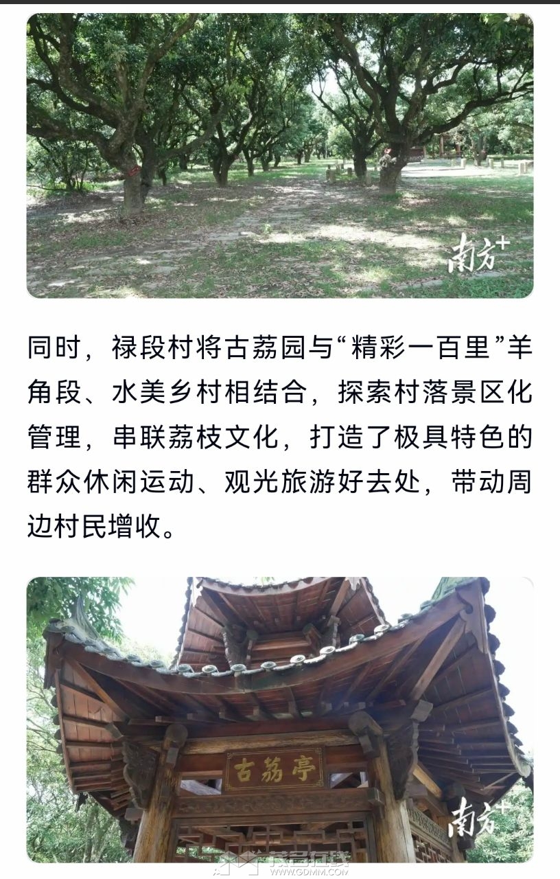 20250505162127front2_0_3341446_Fkktoo2HiBujjNP0P_Y7d_rku8Mo.jpg