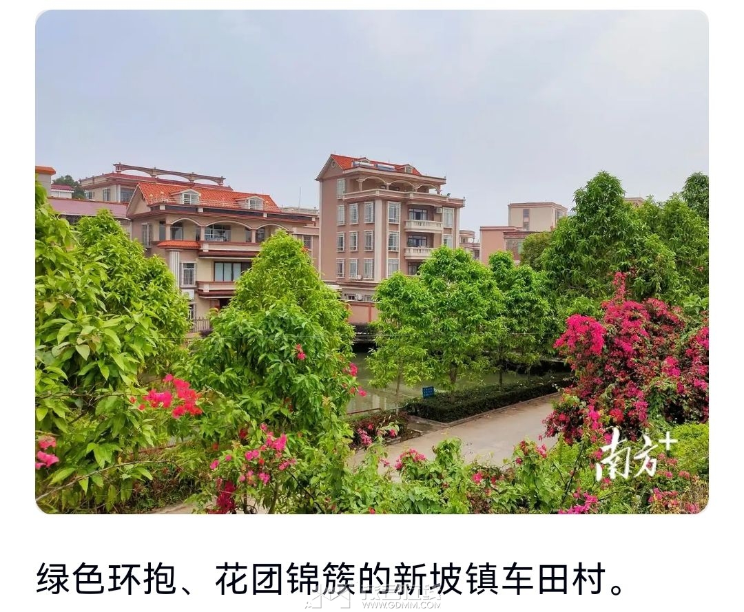 20250505193556front2_0_3341446_Ftqon06cjUS-5WjUvBdDGFWfq-v1.jpg