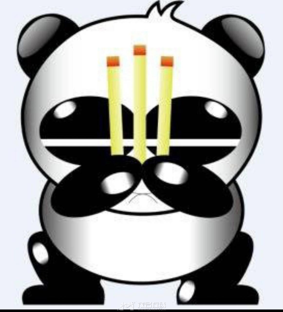 IMG_2919.jpeg