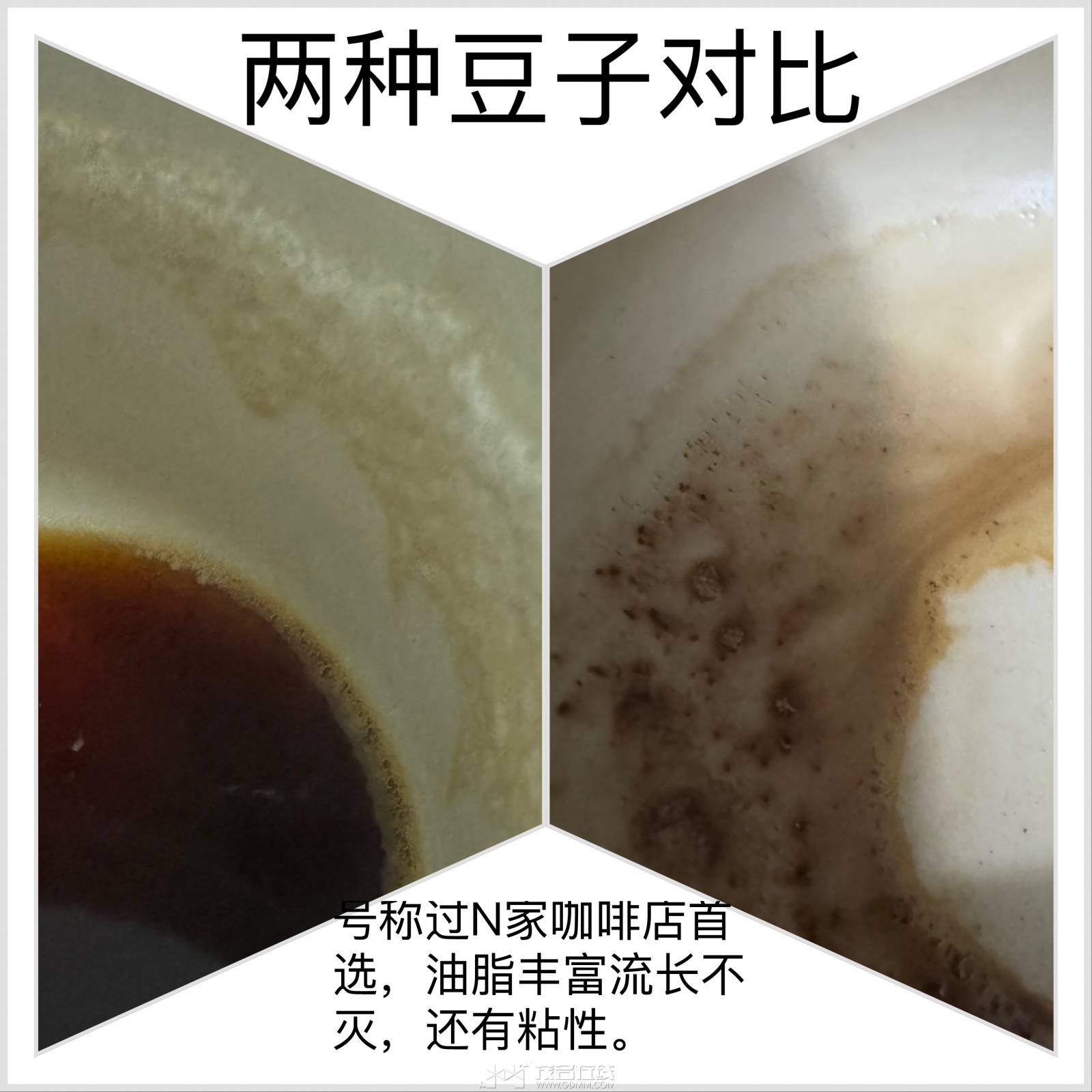 4D7DEC69-3B7D-4AE8-9632-C85A56A95237.jpeg