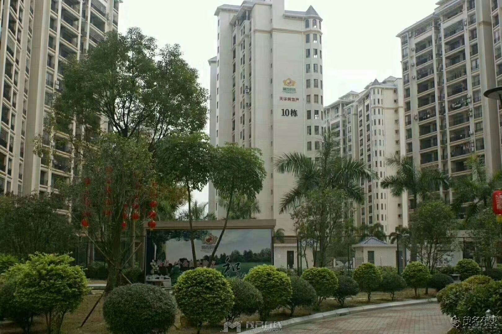 mmexport1553702069543.jpg