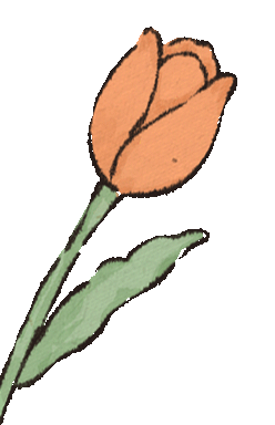 102559xw7dttiy33dvscif.gif