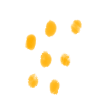 225010gplgrykrrvpva2w5.png