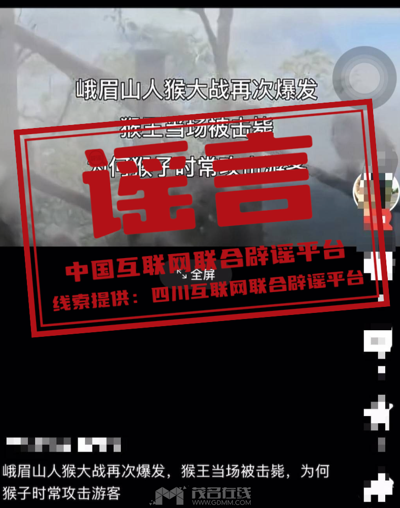 113032f0o7volgnwwfvbon.png