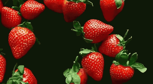 13.gif