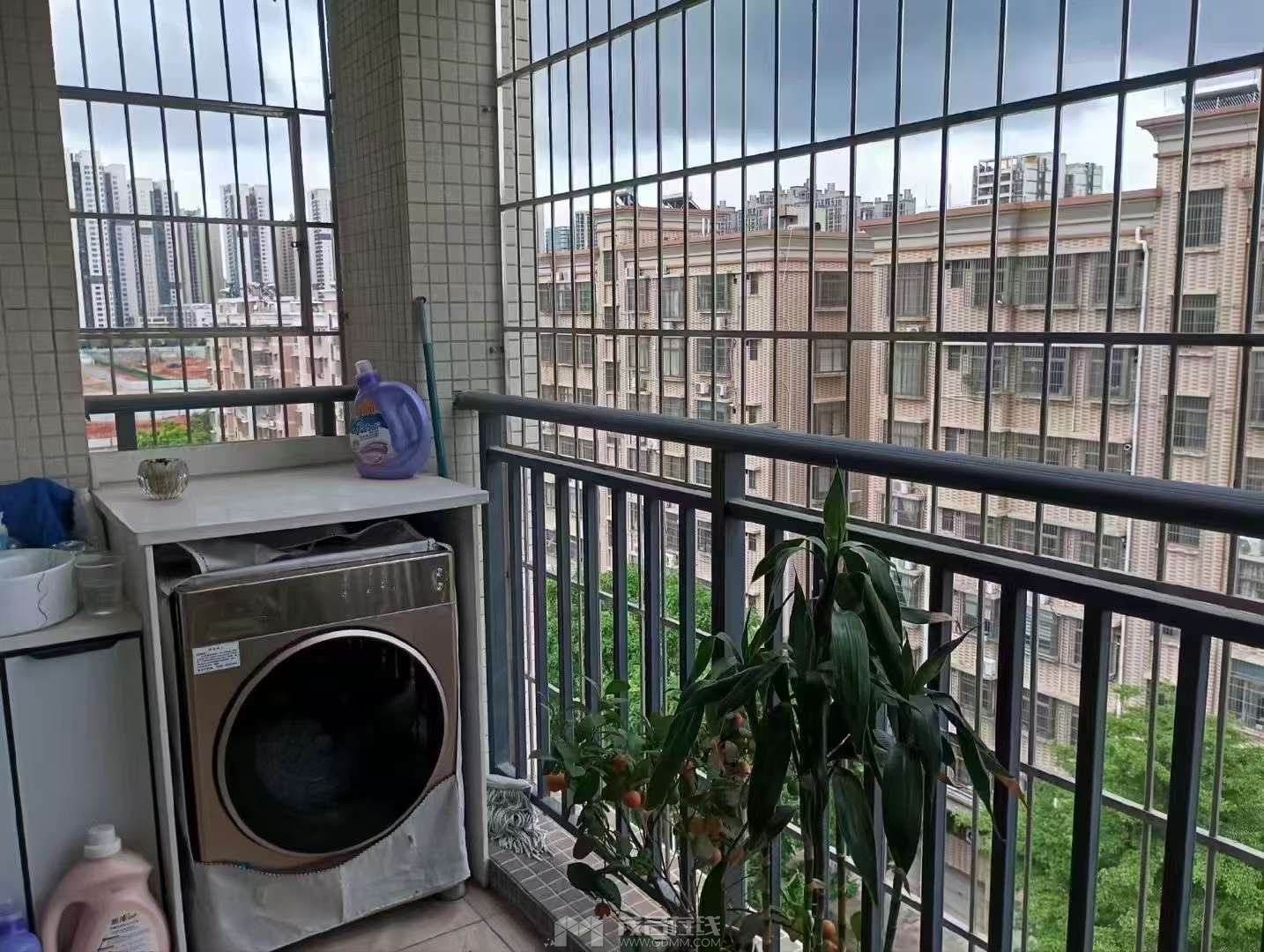 20250805194515front2_0_3388953_Fmq66UziIHJyaIdjijWOelu9I80R.jpg