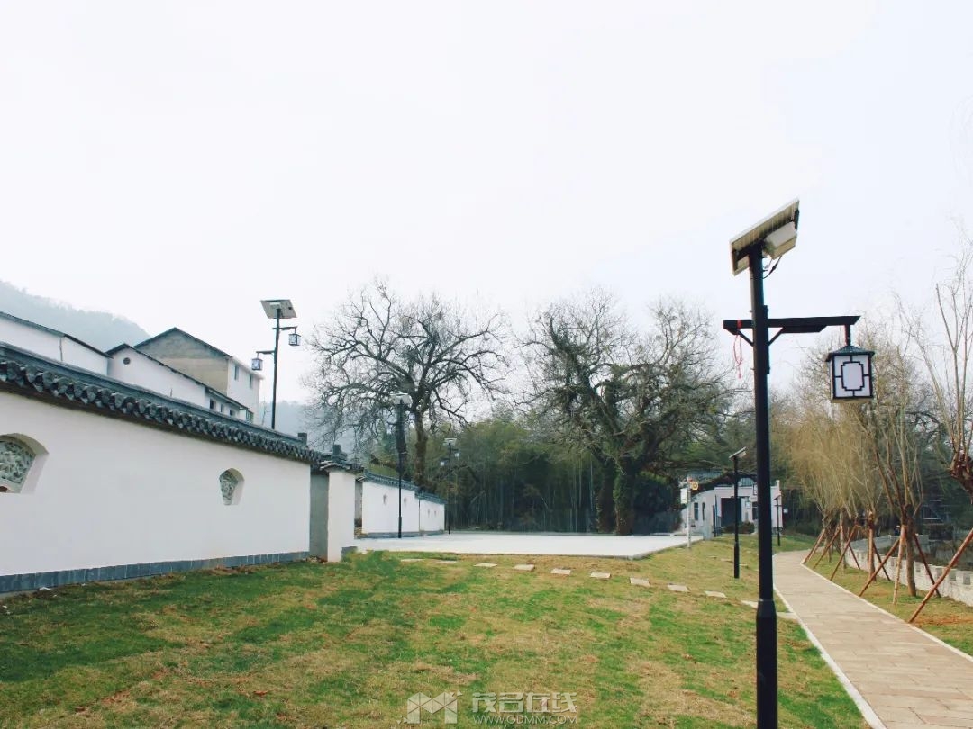 105615bda5dcge6etc2u5g.jpeg