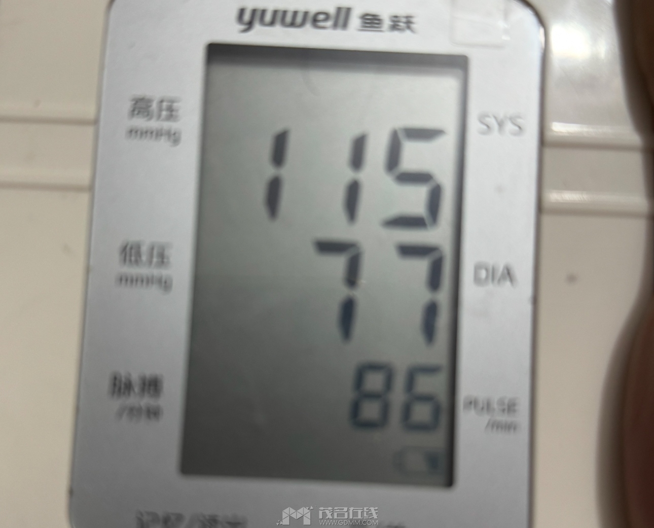IMG_4018.jpeg