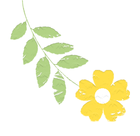172855px8gp2zlt8tgctir.gif