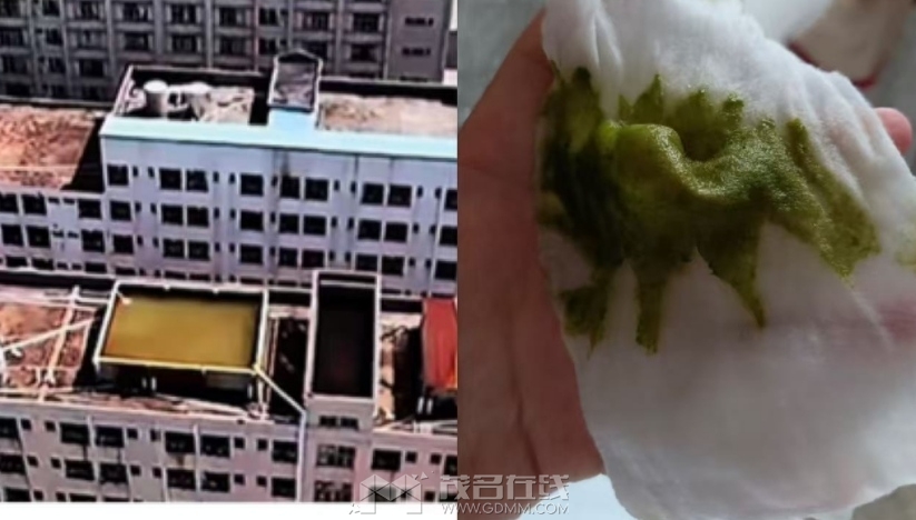 ΢Žͼ_20250901130001.png