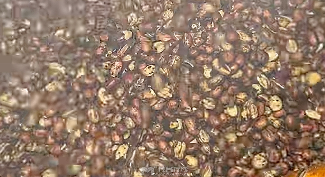 IMG_4164.jpeg