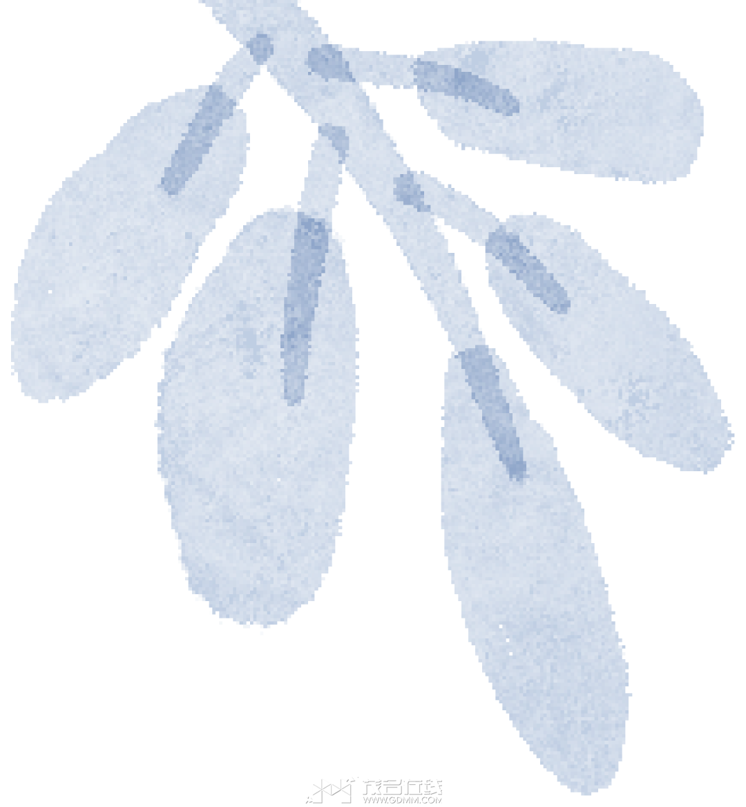 110342h6efd9h681rfho8x.png