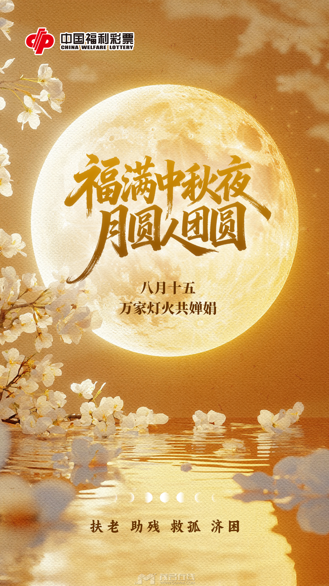 225129jxgljukmw4unn664.png