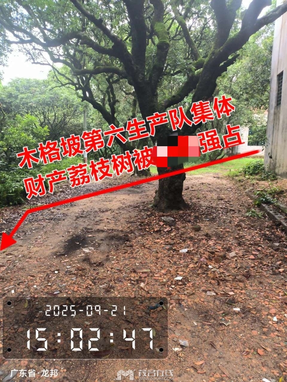091839uohtumz69mgmhmo3_.jpg
