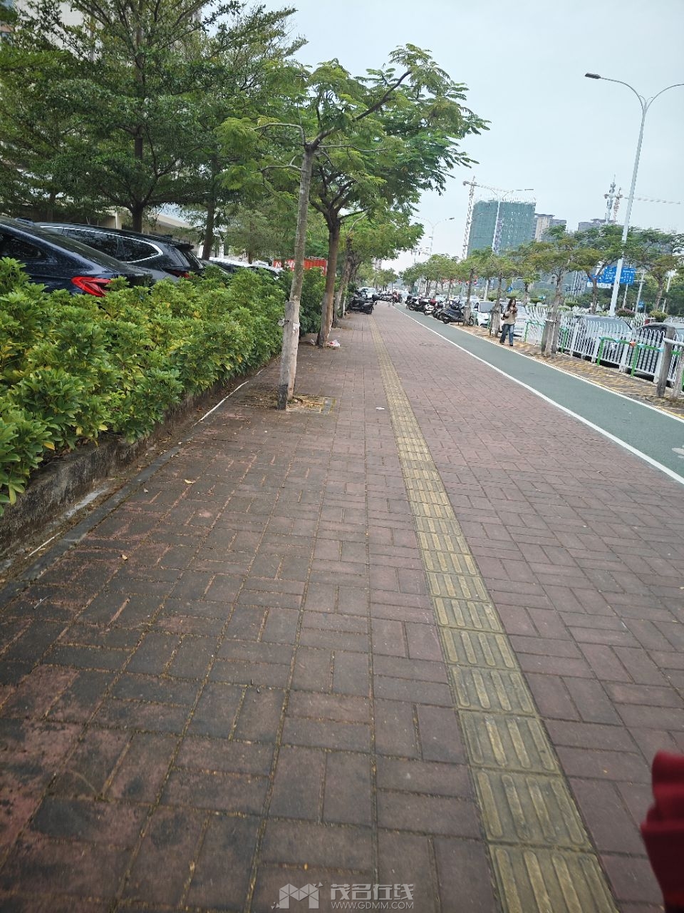 20251025170144front2_0_3389856_Fog1PDEs0PnCHjEVcyVgE5no6kdz.jpg
