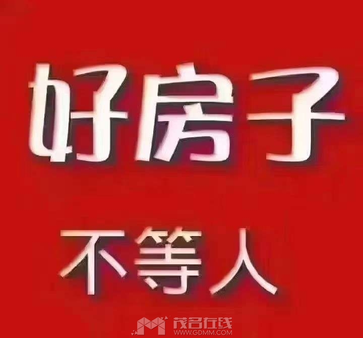 20251025222324front2_0_3388953_FkZIXW9tVbFPhihxMSzCHK9DSvOY.jpg