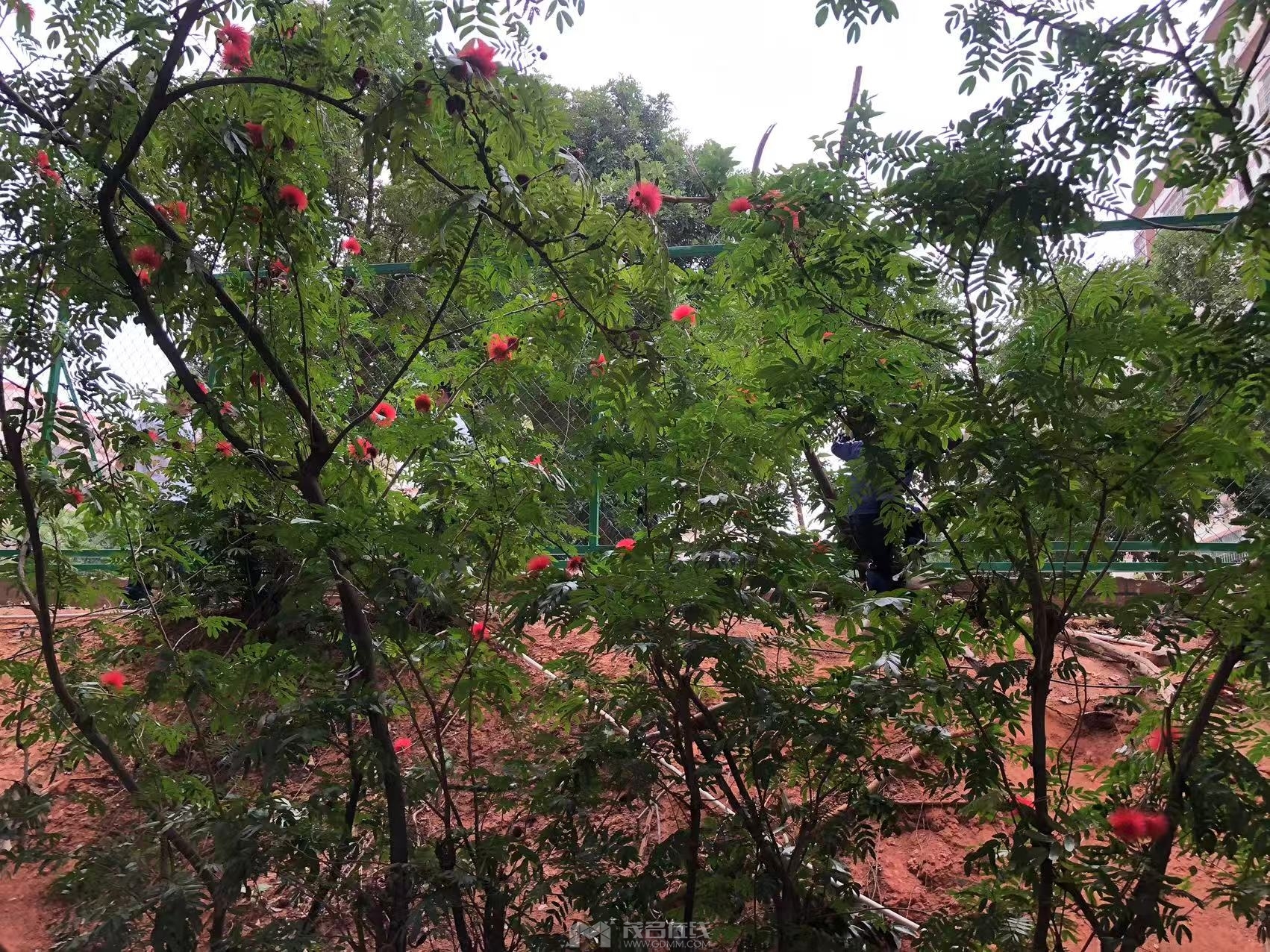 Сѧ������