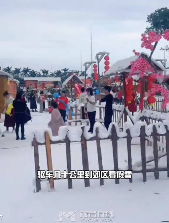 QQ20260303-075350.png
