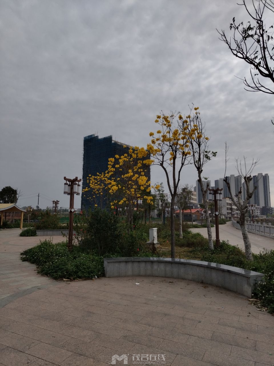 20260315084510front2_0_3390819_FqGz-Mu8hqtssbJpUgi3wbzTtvn9.jpg