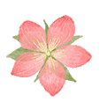 223813bmcn26c669ncp11a.gif