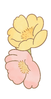 225207jpm7lg40464ppfge.png