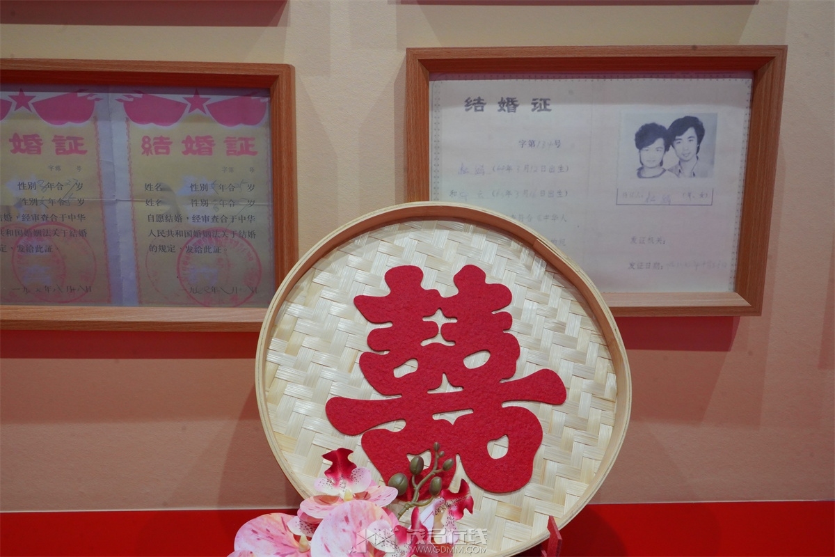 DSC01947.jpg