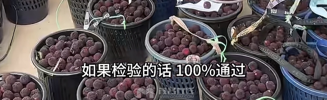1000045200.jpg