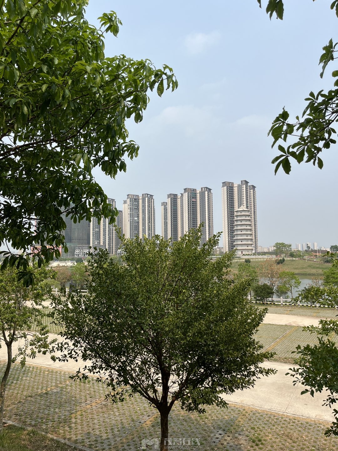 20260529002401front1_0_3381721_Fni9UAyhHE27lGTUI4eSRSCQIxKn.jpg