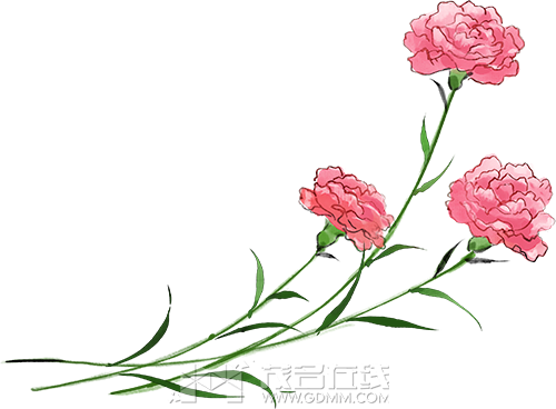 180950k0v7w5ln8hwc86f6.png