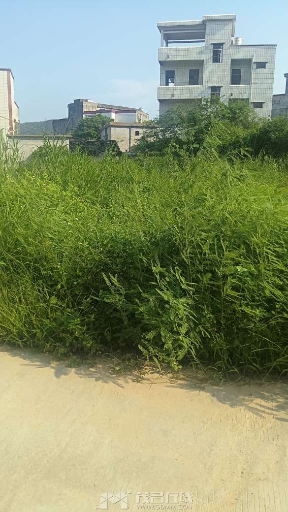 20260602172417front2_0_3389406_FuM62x4BDb1IC7ScckVAm3N2QKB_.jpg