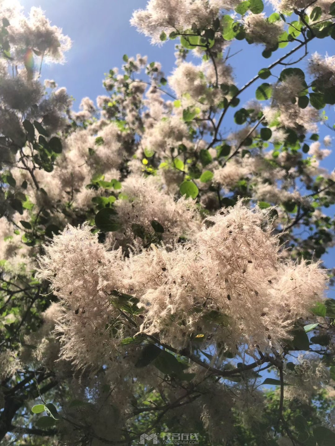 20260603225954front1_0_3369967_FgwyFCWhEMzsOP-v-v1AswCmXea_.jpg