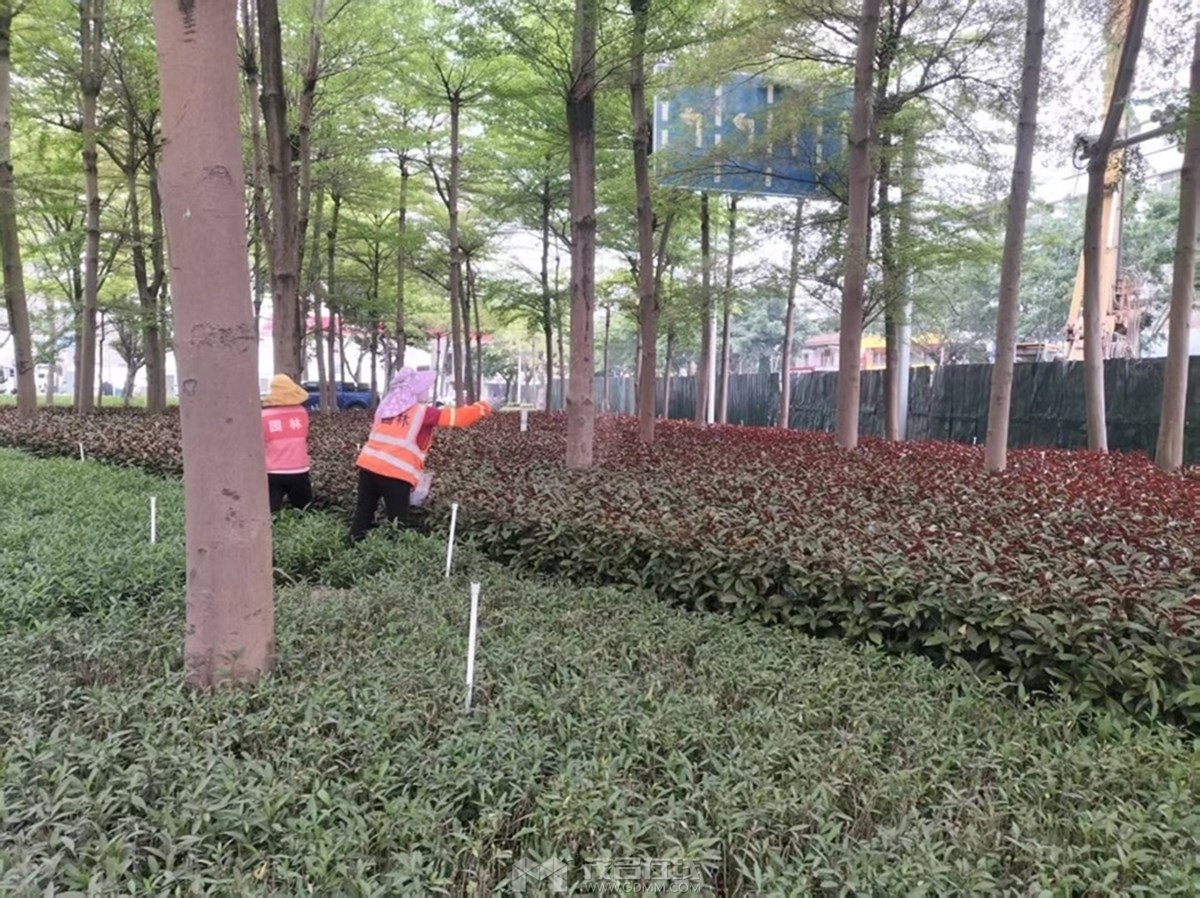 image1.jpeg