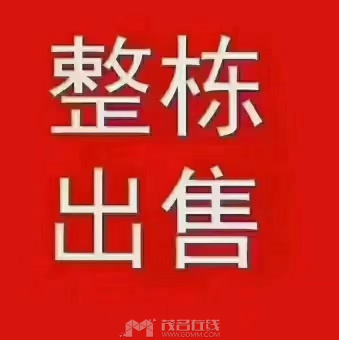 a58cf9f3901f072a77700061f333a1b1.jpg