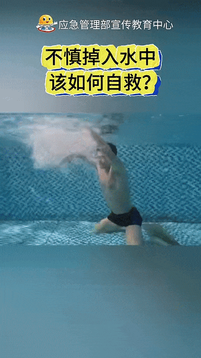 121031hmoozp030qbq76m7.gif