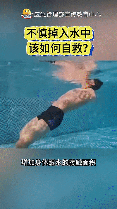 121031xj6pangg777auu3b.gif