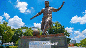 225835ub7fczwnhan77loz.gif