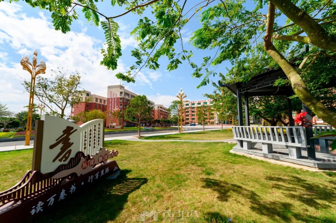 160804zjkgvtzzt6ahvfrm.jpeg