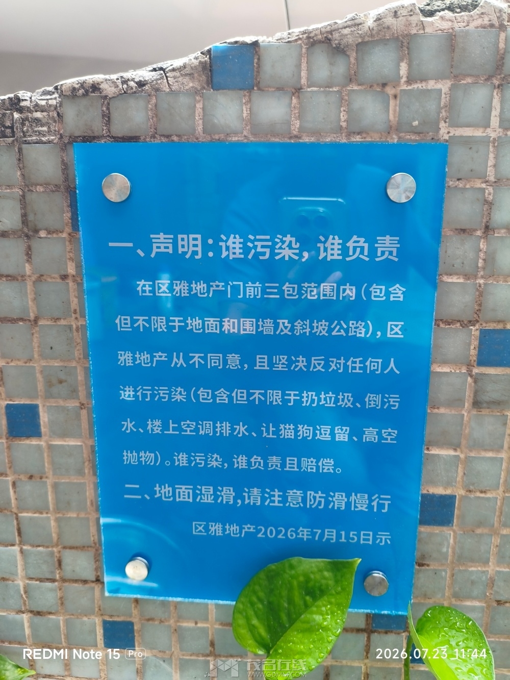 2026-07-23_4.jpg
