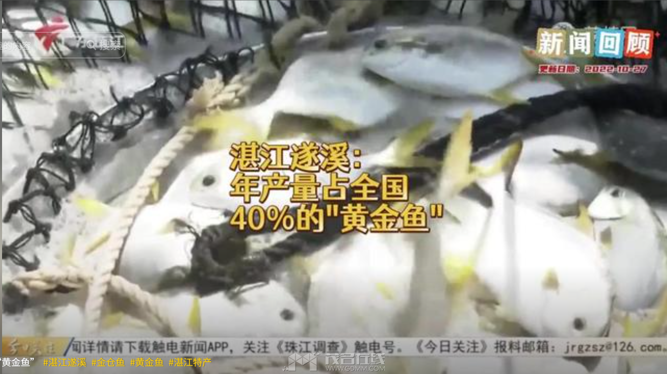 QQ20260730-183153.png