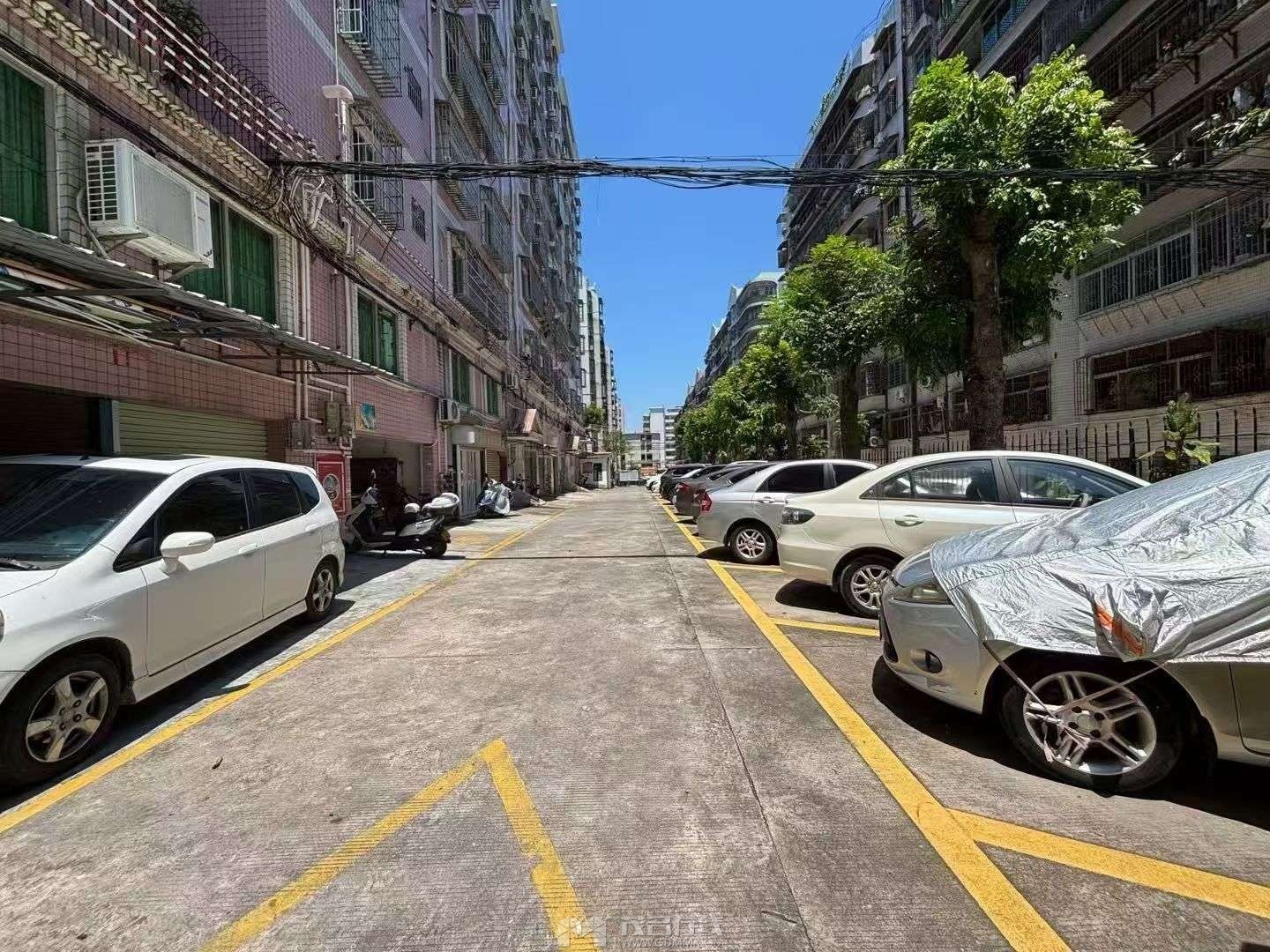 20260808174655front2_0_3271695_Fjy7Ylzo6JdM-_3te2utL2aylIy-.jpg