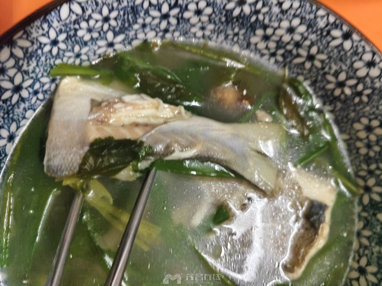 20260821164147front2_0_3389856_Fj9rtga8Dbo6kKX0A_77gUjyCyJp.jpg