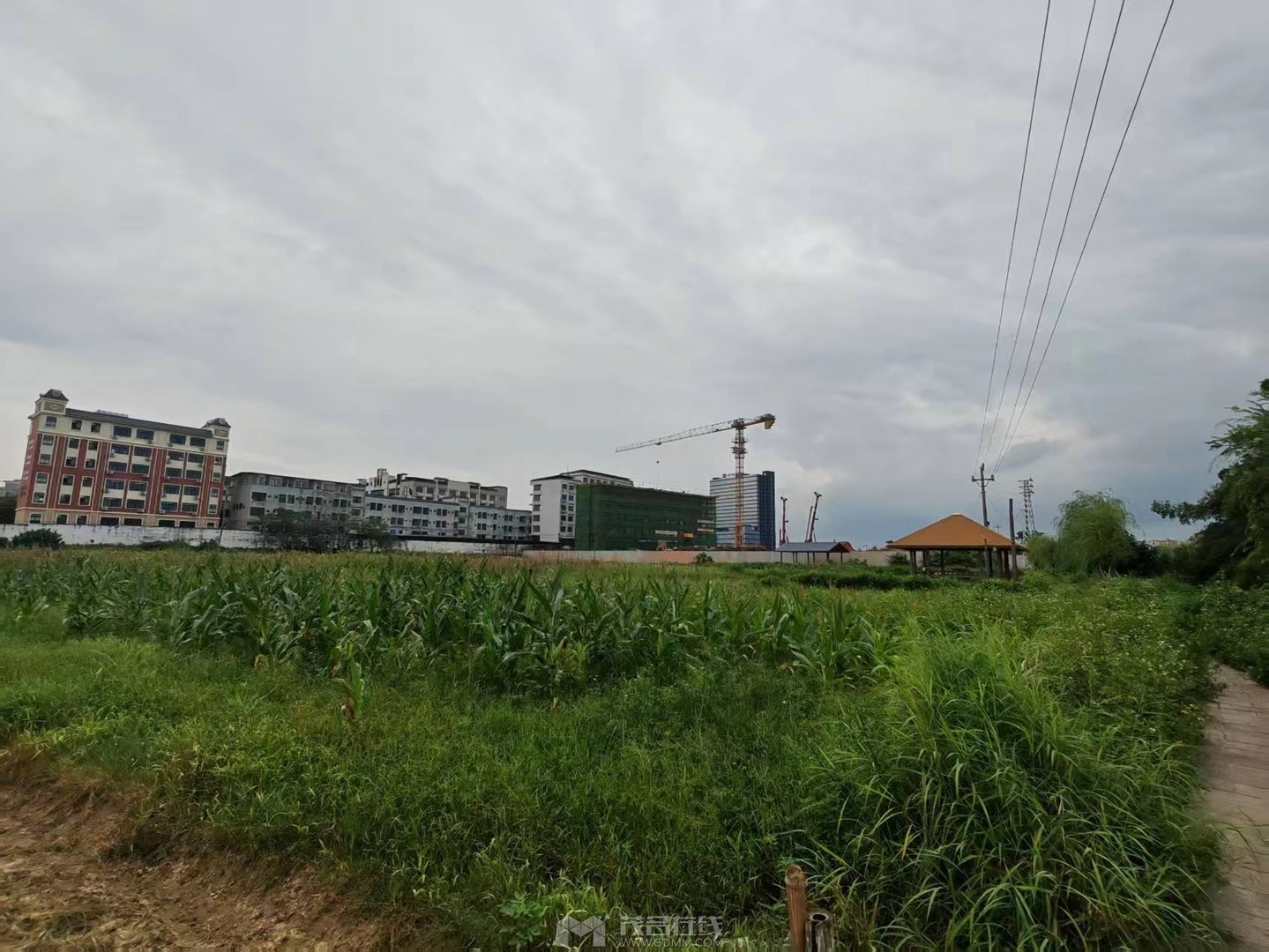 20260830161035front1_0_3381721_FnN-LgUIekInU_Qnju40Rja-Ov8A.jpg