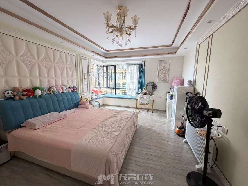 20260918125723front2_0_3388953_FjYr0p6wNIStYA8DMLEgdOUkzidi.jpg