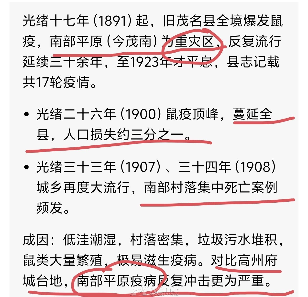 20261018105251front2_0_3270784_Fq65yG5ZGzZgGpQjRnyRl3IfgF68.jpg