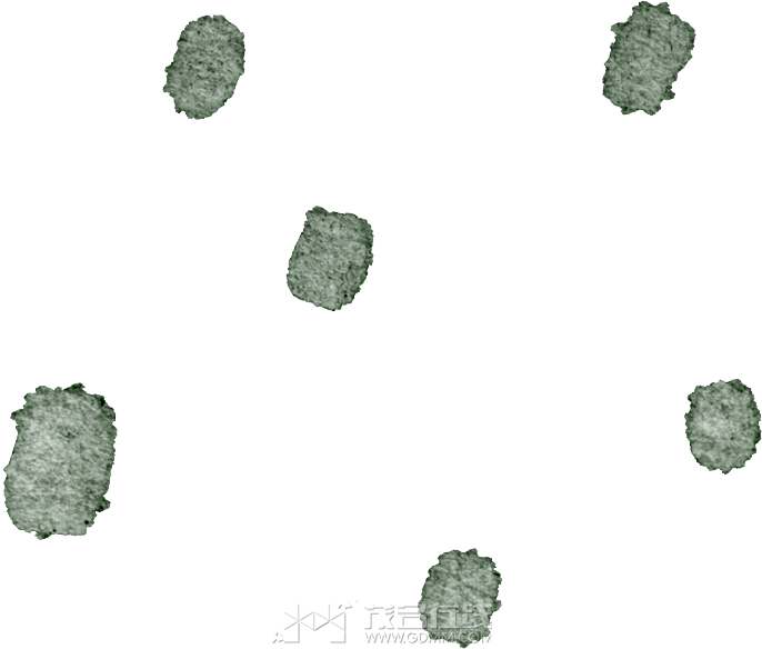 130158b2rfslicuplcaasw.png