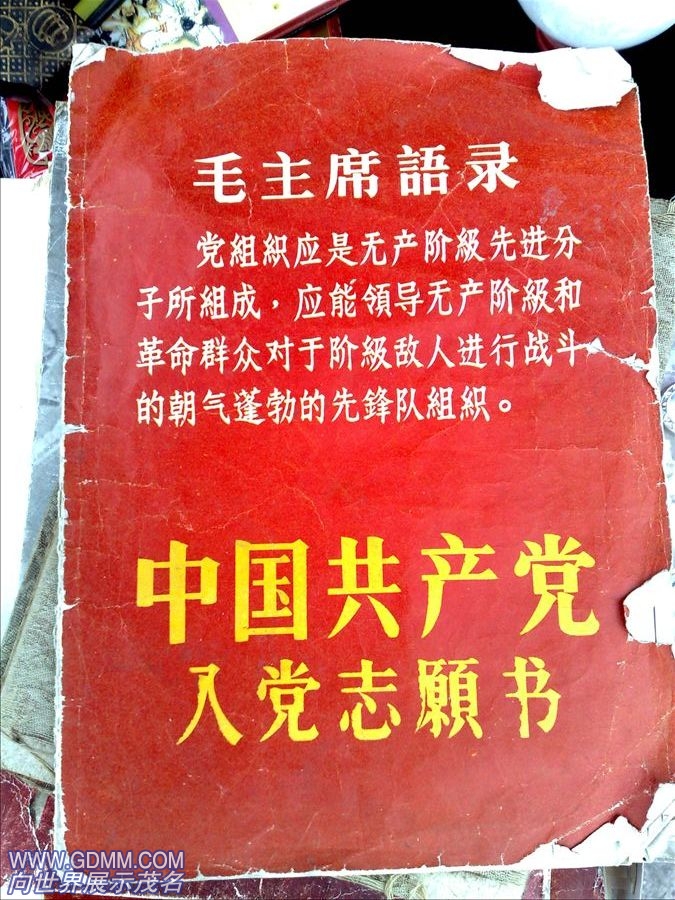 201003175331.jpg