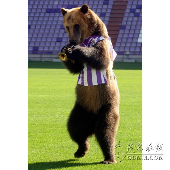 2010060700514432.jpg